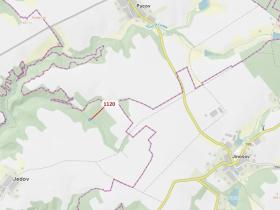 Dražba lesa, Náměšť nad Oslavou, 931 m2