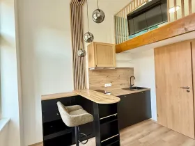 Pronájem bytu 1+kk, Praha - Nové Město, Sokolská, 17 m2