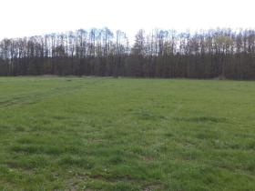 Prodej pole, Tachov, 23048 m2