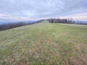 Prodej pole, Mírová pod Kozákovem, 20044 m2