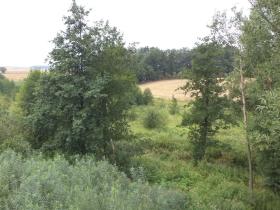 Dražba louky, Bohuslavice, 8942 m2