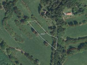 Prodej pole, Nový Rychnov - Čejkov, 7207 m2