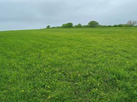 Prodej pole, Louka, 5762 m2