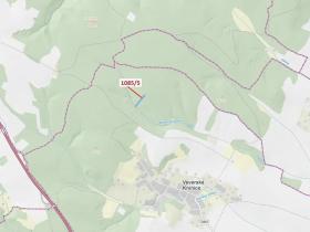 Dražba lesa, Veverské Knínice, 3926 m2