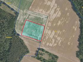 Prodej pole, Tuřice, 13416 m2