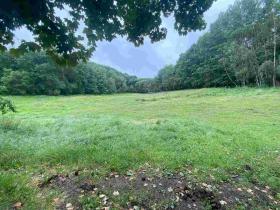 Prodej pole, Úterý - Vidžín, 11289 m2