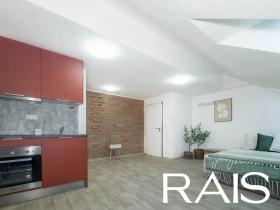 Pronájem bytu 1+kk, Brno, Bašty, 39 m2