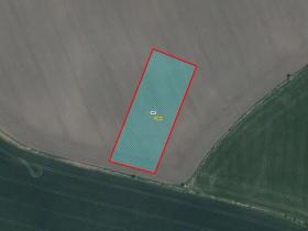 Prodej pole, Kněžice, 5667 m2