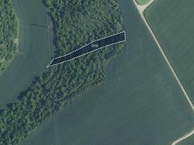 Prodej sadu/vinice, Uherčice, 2564 m2