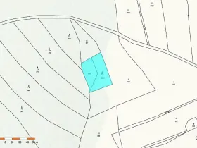 Prodej lesa, Vyskytná nad Jihlavou, 1283 m2