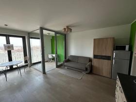 Pronájem bytu 1+kk, Praha - Žižkov, Olšanská, 36 m2