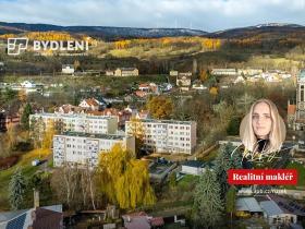 Prodej bytu 1+1, Hrob, Rybniční, 27 m2