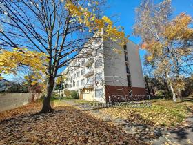 Prodej bytu 3+1, České Budějovice, Nádražní, 80 m2