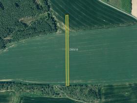 Prodej pole, Třemošná, 9105 m2