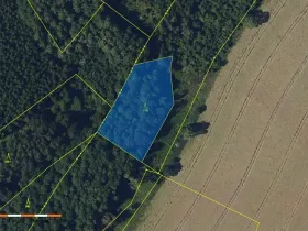 Prodej lesa, Česká Bělá, 2647 m2