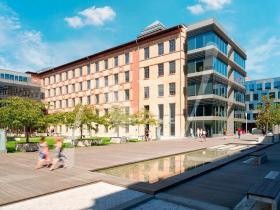 Pronájem kanceláře, Praha - Holešovice, Jankovcova, 337 m2