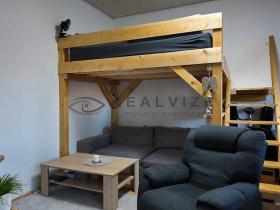 Pronájem bytu 1+kk, České Budějovice, Lidická tř., 40 m2