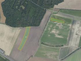 Prodej pole, Velenka, 52885 m2