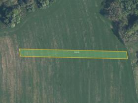 Prodej pole, Sedliště, 3846 m2