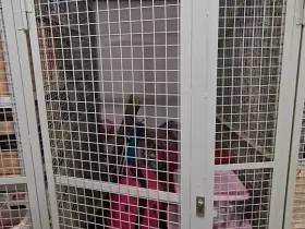 Pronájem - jiné, Praha - Záběhlice, Ve slatinách, 3 m2