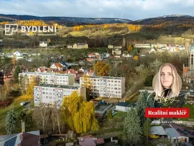 Prodej bytu 1+1, Hrob, Rybniční, 27 m2