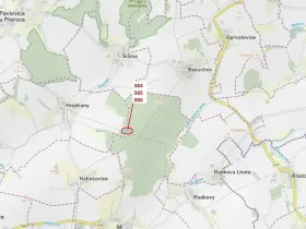 Dražba lesa, Hradčany-Kobeřice, 3483 m2