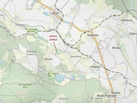 Dražba lesa, Kněžnice, 2271 m2