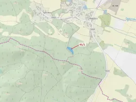 Dražba lesa, Pačejov, 3251 m2