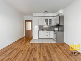 Pronájem bytu 1+kk, Praha - Horní Měcholupy, Hornoměcholupská, 34 m2