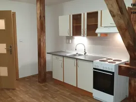 Pronájem bytu 1+kk, Ústí nad Labem, Londýnská, 43 m2