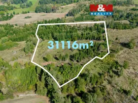 Prodej lesa, Horní Heřmanice, 31116 m2