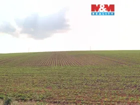 Prodej pole, Štěpánkovice, 2579 m2