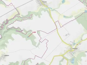 Dražba lesa, Náměšť nad Oslavou, 931 m2