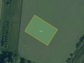 Prodej pole, Jenišovice, 3011 m2