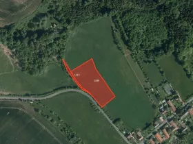 Prodej louky, Žlebské Chvalovice, 4844 m2