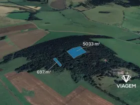 Prodej lesa, Chodská Lhota, 5730 m2