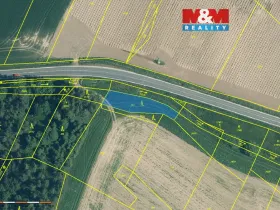 Prodej lesa, Malý Bor, 711 m2