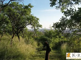 Prodej zahrady, Brno - Židenice, 1227 m2