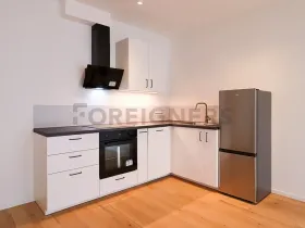 Pronájem bytu 1+kk, Brno, Bratislavská, 35 m2