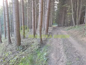 Prodej lesa, Zlín, 152613 m2