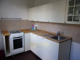 Pronájem bytu 2+1, Teplice, Zrenjaninská, 53 m2