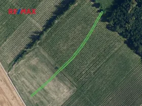 Prodej sadu/vinice, Josefov, 1165 m2