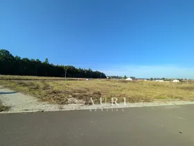 Prodej pozemku pro bydlení, Olešná, 1130 m2