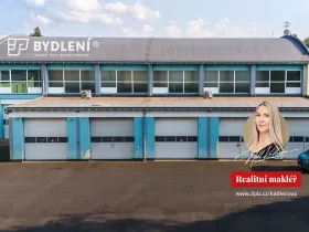 Pronájem skladu, Novosedlice, Bystřická, 110 m2