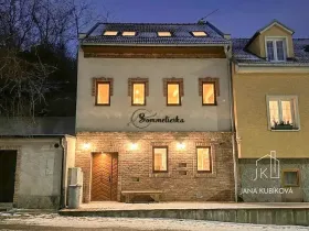 Pronájem ubytování, Valtice, Josefská, 251 m2