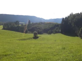 Prodej pole, Dolní Dobrouč - Horní Dobrouč, 71151 m2