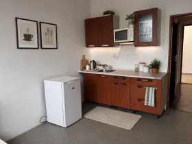 Pronájem bytu 1+kk, Klatovy, U Slunce, 22 m2