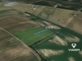 Prodej pole, Prušánky, 1175 m2