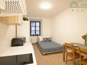 Pronájem bytu 1+kk, Brno, Francouzská, 21 m2