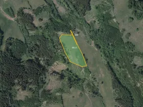 Prodej louky, Čistá u Horek, 20084 m2